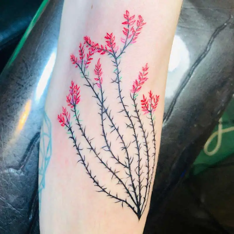 ocotillo-cactus-tattoo-2