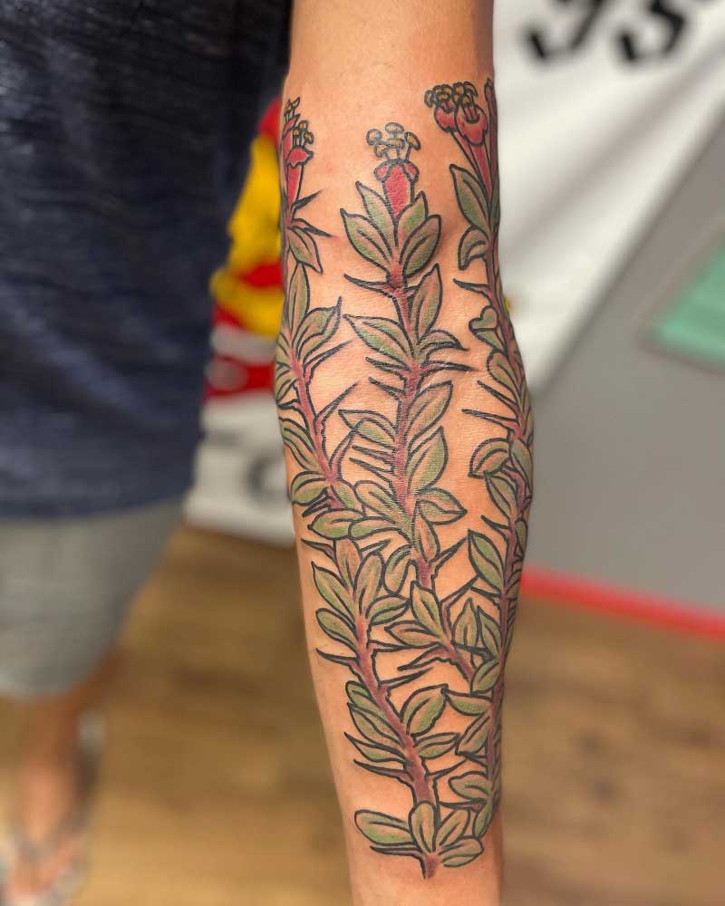 ocotillo-cactus-tattoo-3