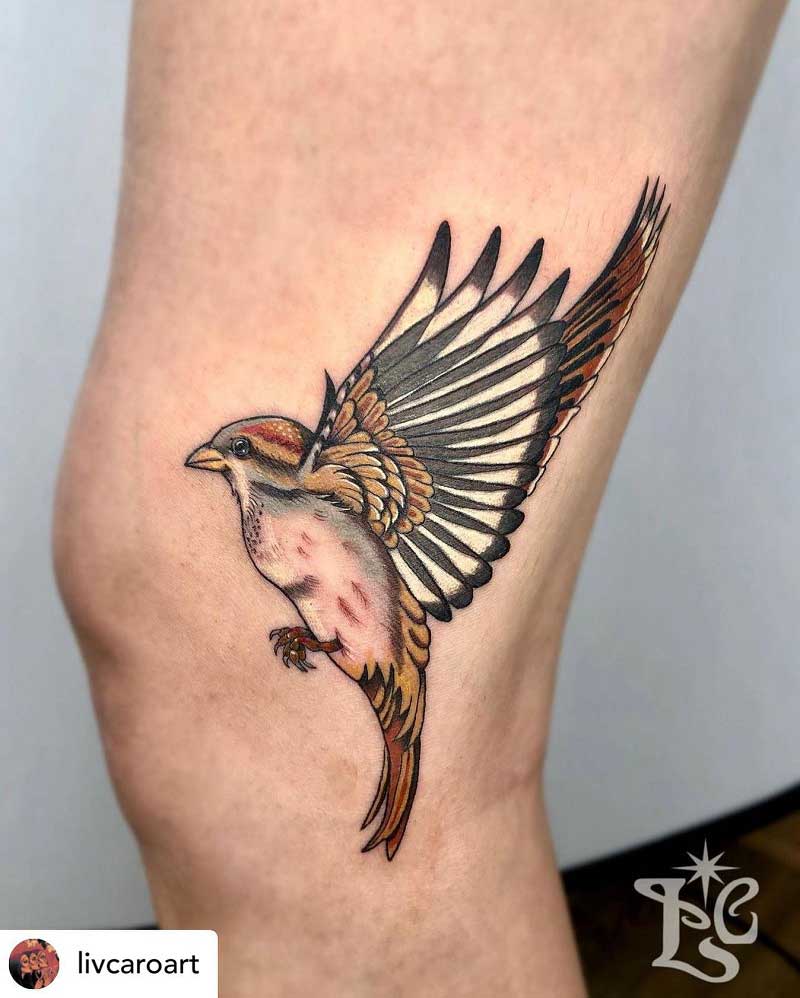 realistic-sparrow-tattoo-2