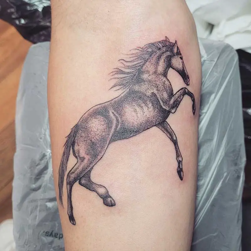 Horse statue tatooTikTok Search