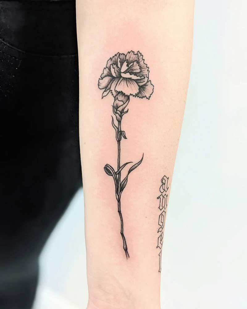 simple-carnation-tattoo-3