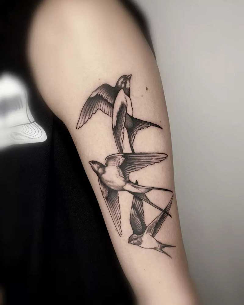 southpaw-swallow-tattoo-2