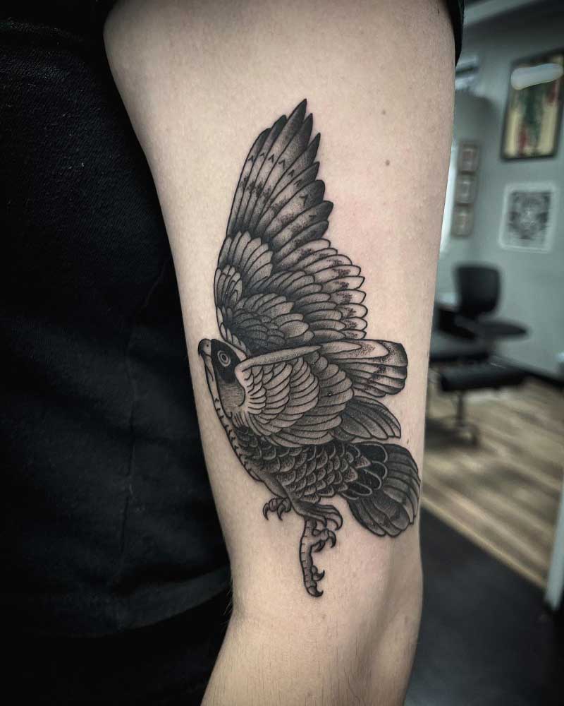 sparrow-hawk-tattoo-1