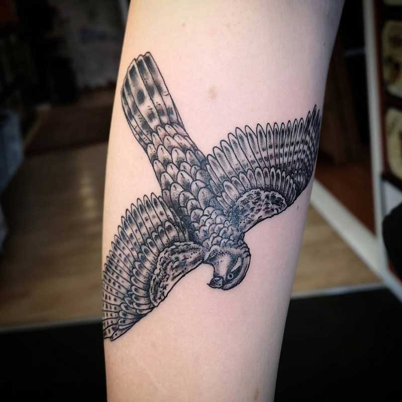 sparrow-hawk-tattoo-3