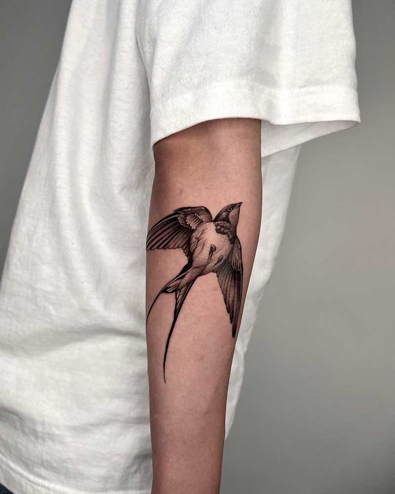 sparrow-swallow-tattoo-2