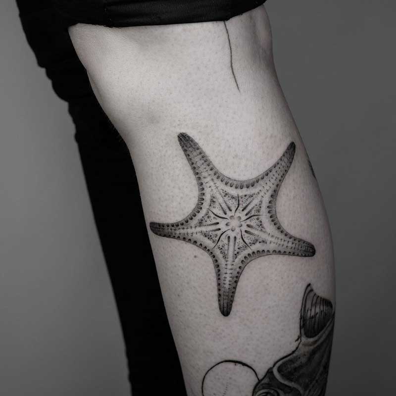 star-fish-tattoo-2