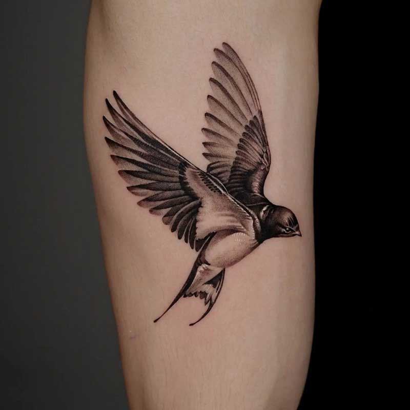 swallow-tattoo-designs-2