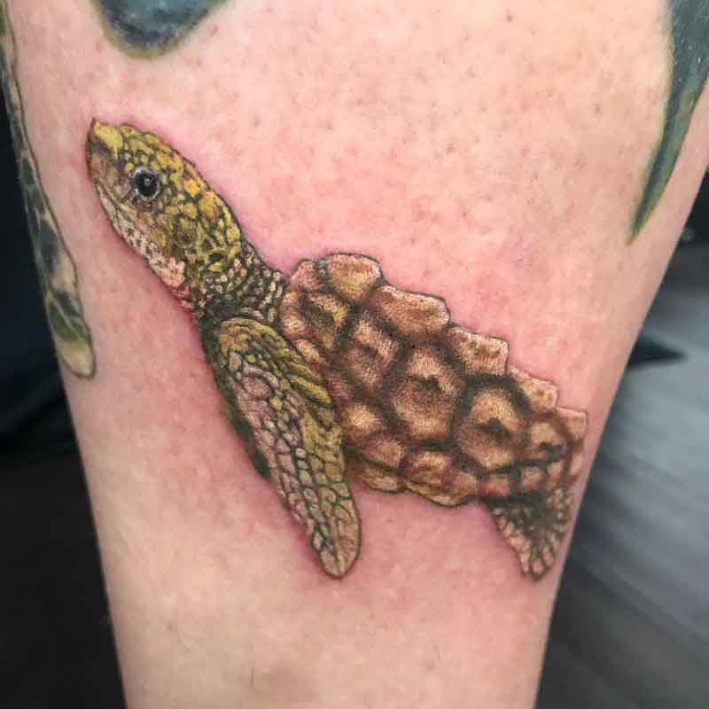 Baby Sea Turtle Tattoo 2