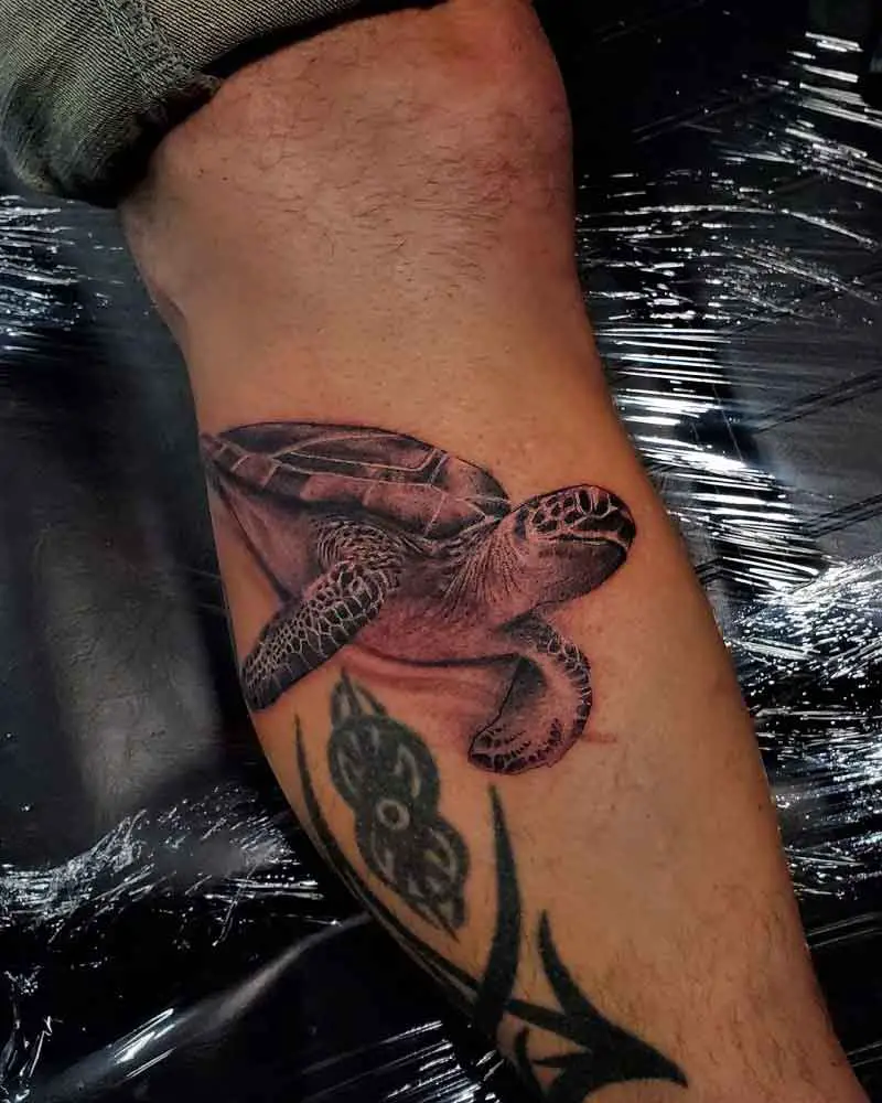 29 Cute Sea Turtle Tattoo Designs  The XO Factor