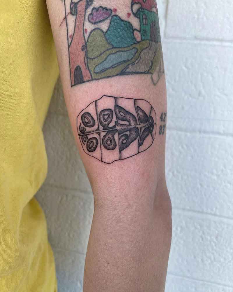 Turtle Shell Tattoo 3