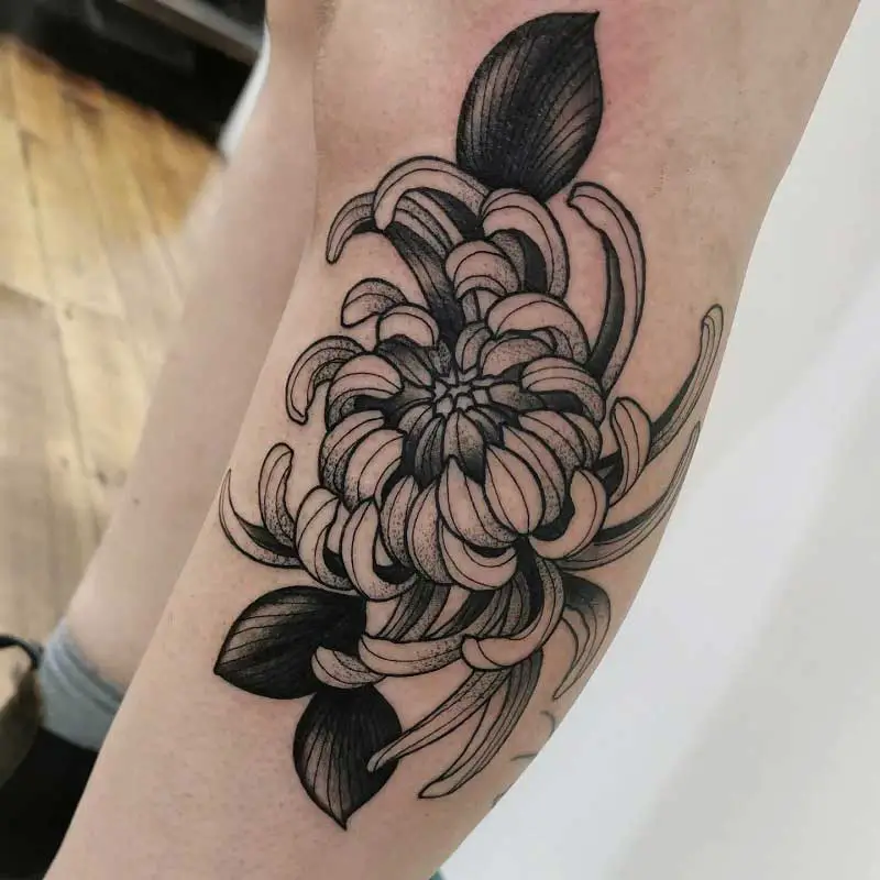 chrysanthemum-flower-tattoo-2