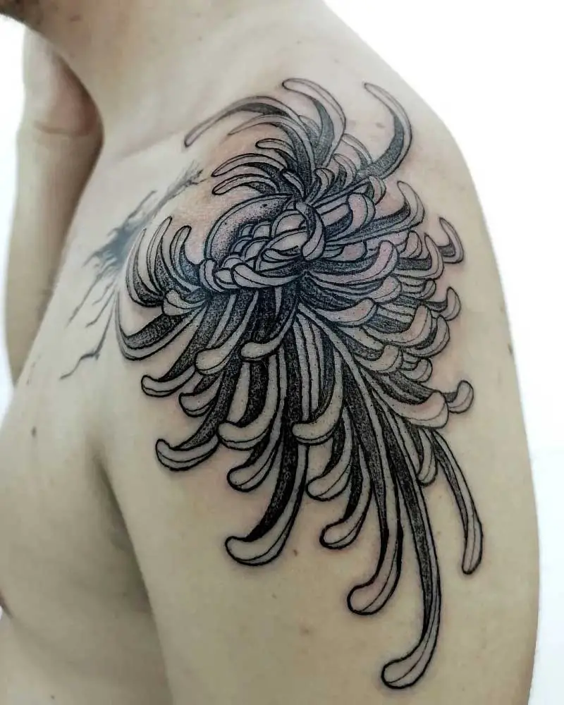 chrysanthemum-shoulder-tattoo-2