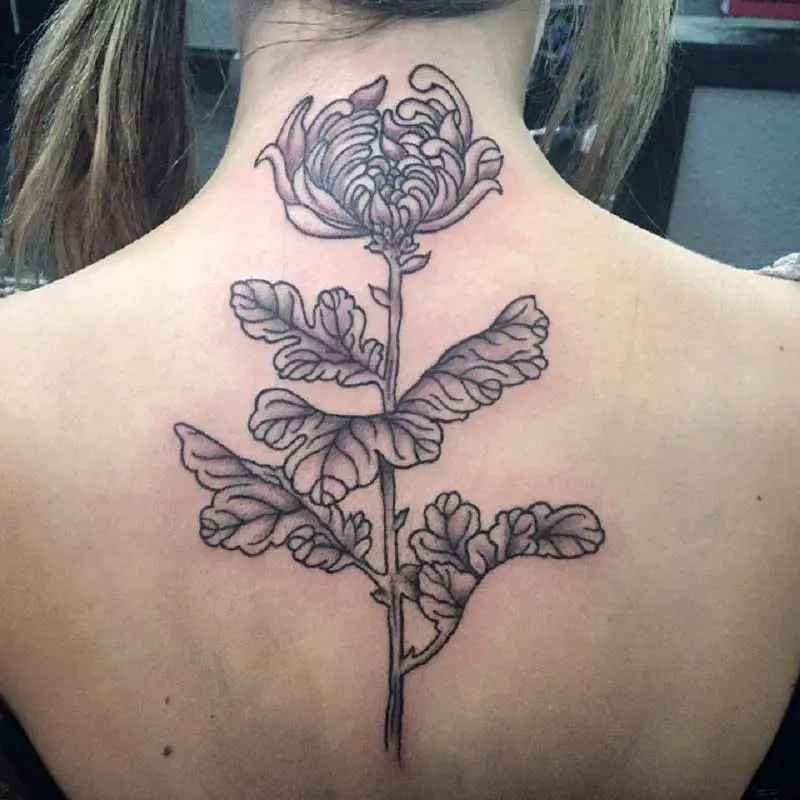 chrysanthemum-spine-tattoo-1