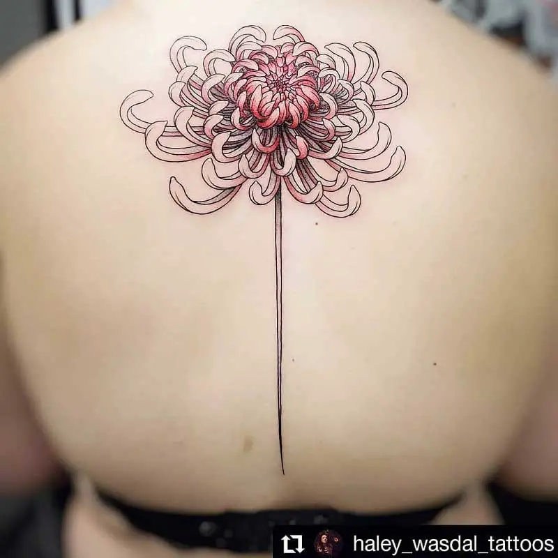 chrysanthemum-spine-tattoo-2