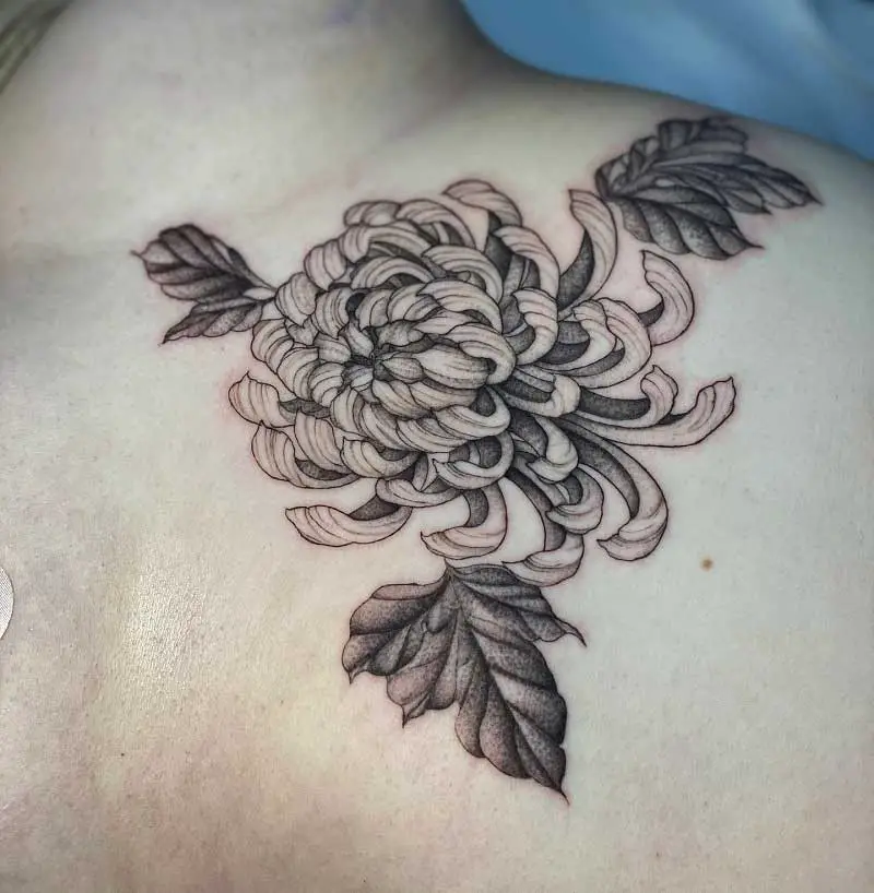 chrysanthemum-sternum-tattoo-1