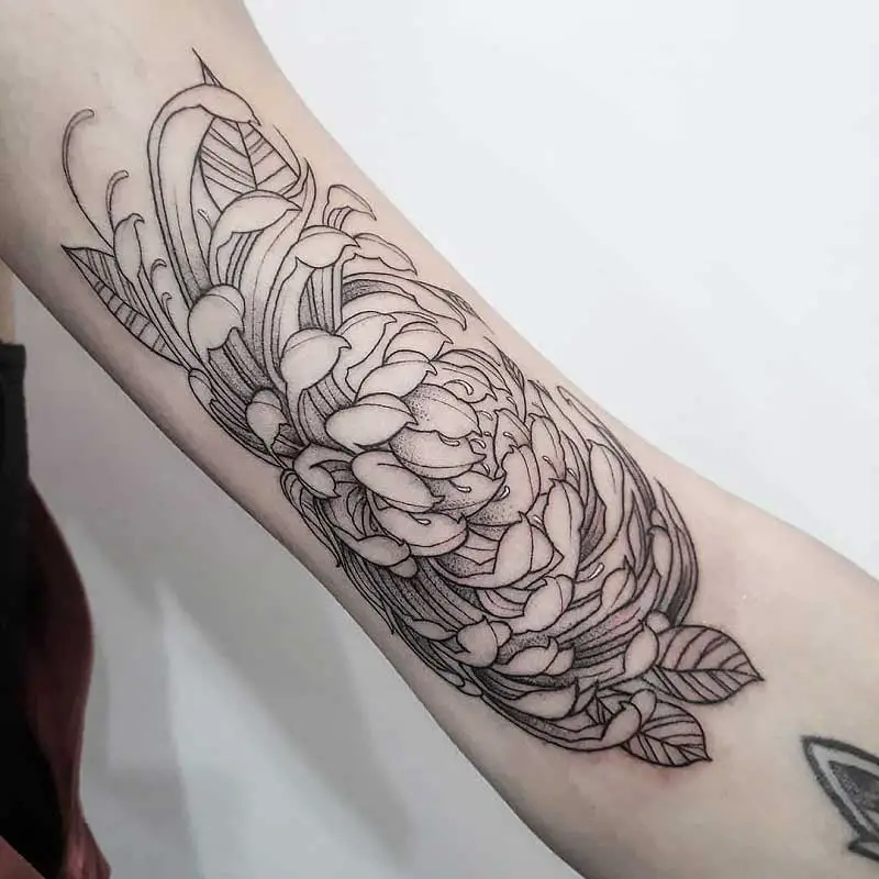 delicate-chrysanthemum-tattoo-3