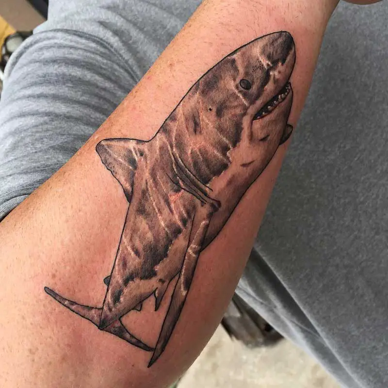 forearm-shark-tattoos-2