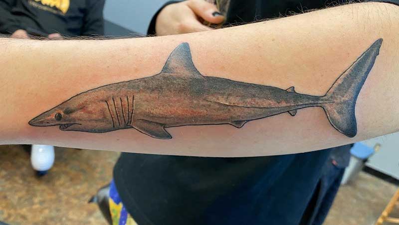 mako-shark-tattoo-3