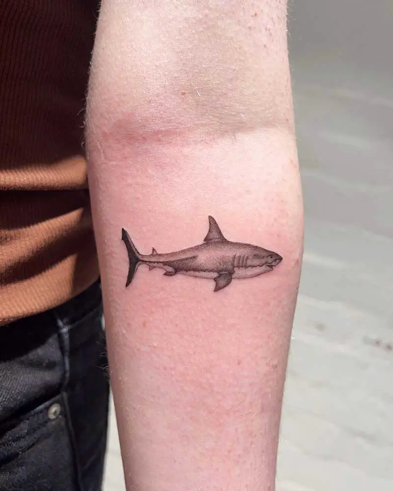 minimalist-shark-tattoo-2