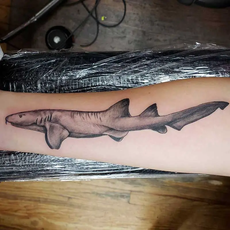 nurse-shark-tattoo-3