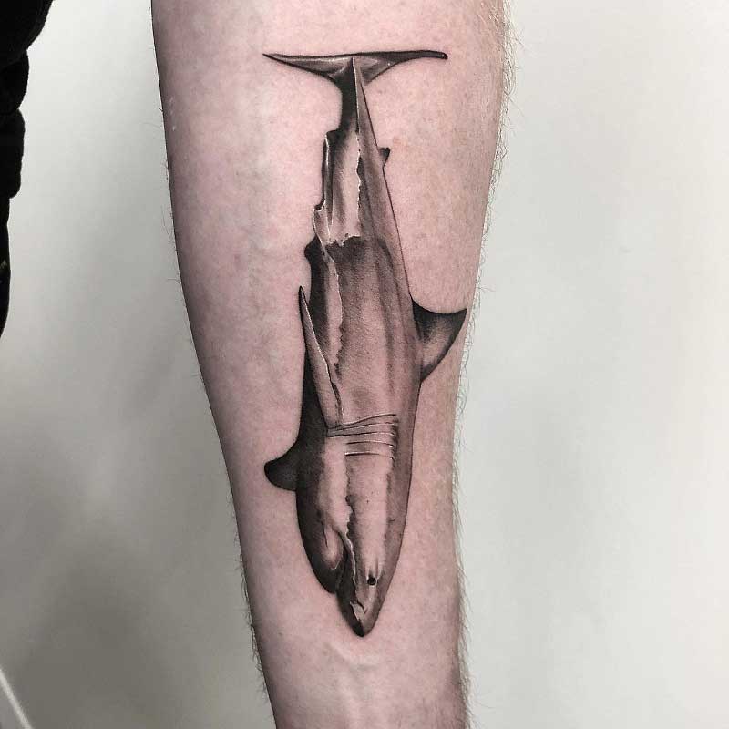 realistic-shark-tattoo-2