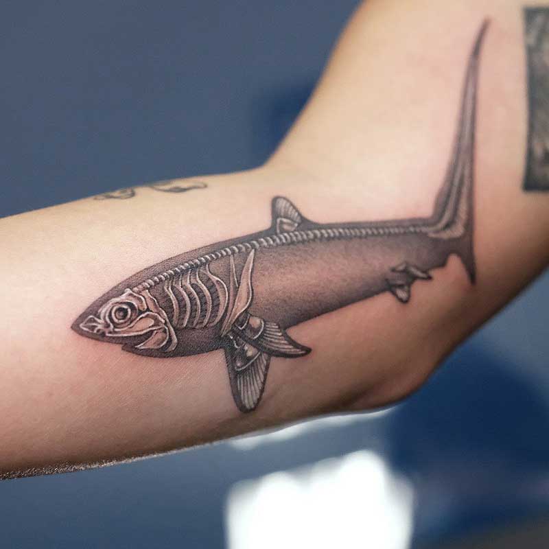 thresher-shark-tattoo-3