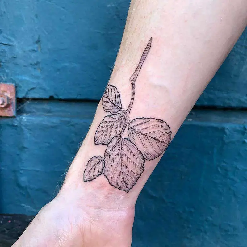 witch-hazel-tattoo-3