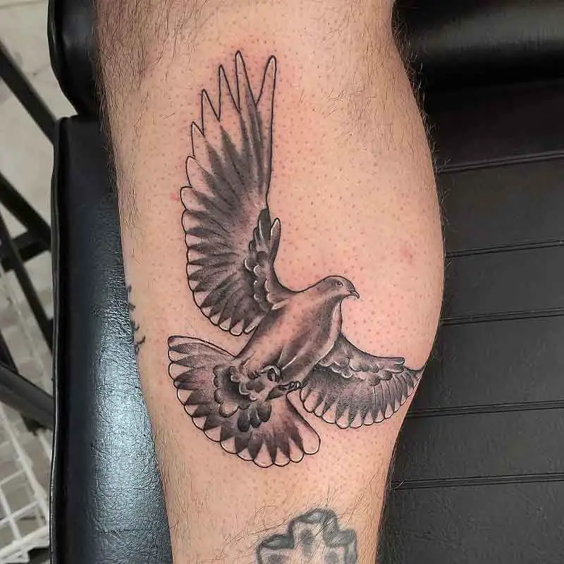 Dove Bird Tattoo 1