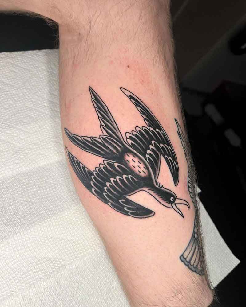 Frigate Bird Tattoo 1