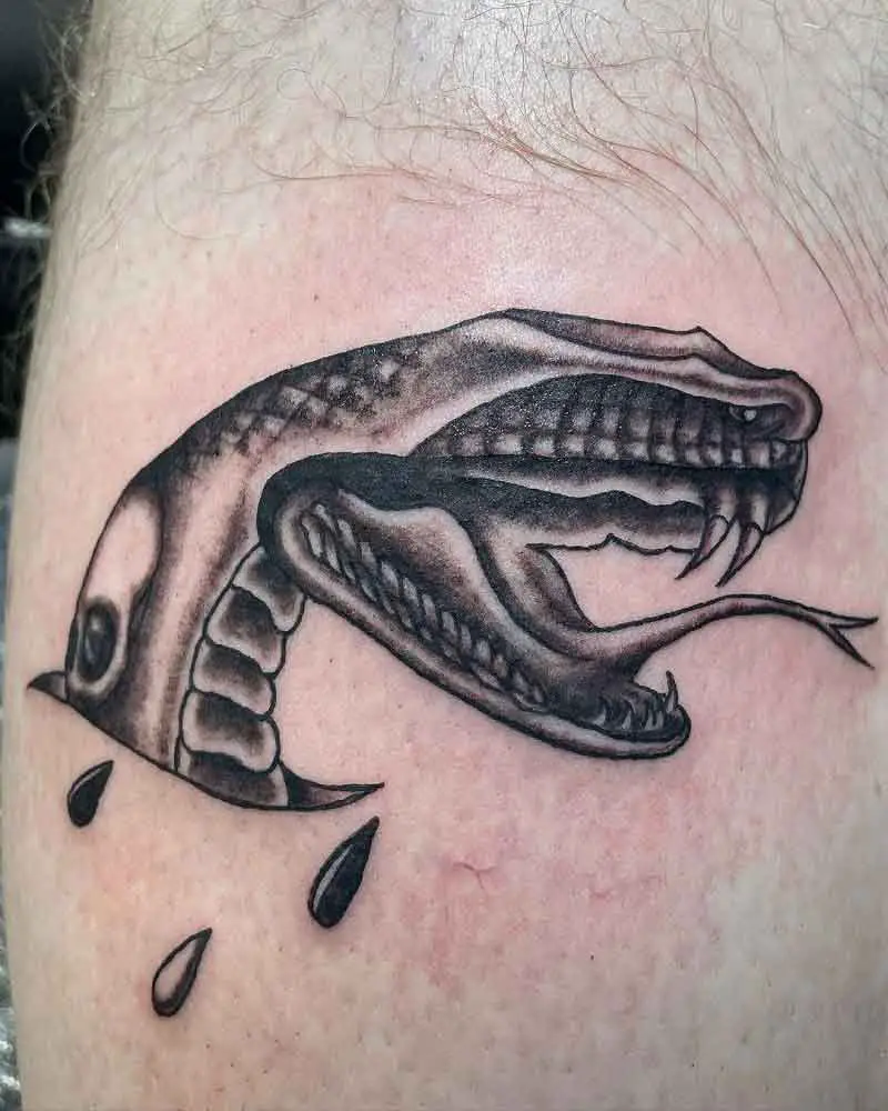 Snake Flash Tattoo 1