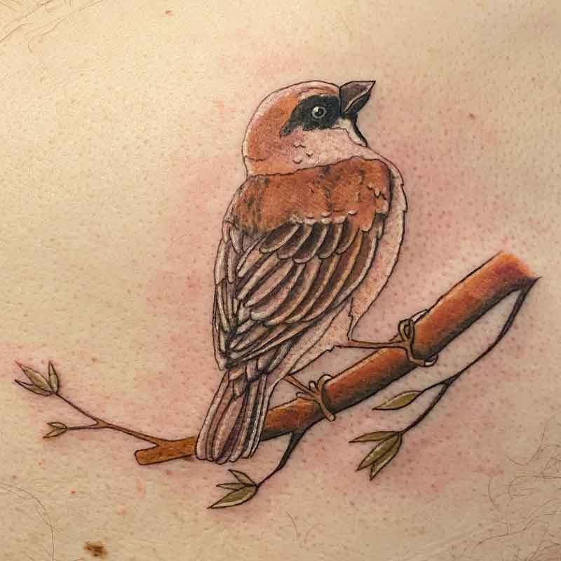 Sparrow Bird Tattoo 3