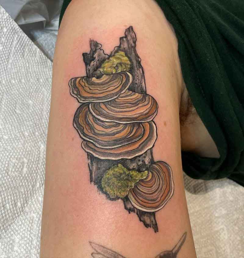 Turkey Tail Mushroom Tattoo 1