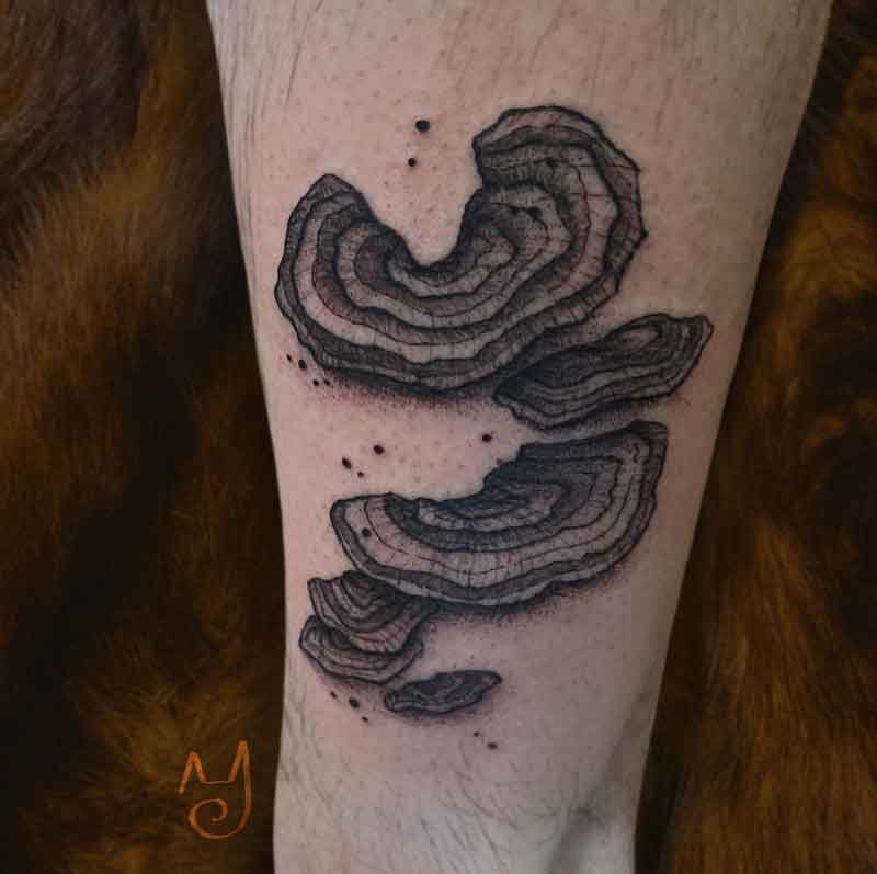 Turkey Tail Mushroom Tattoo 2