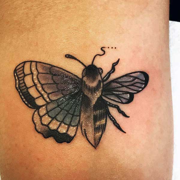 butterfly-bee-tattoo-2