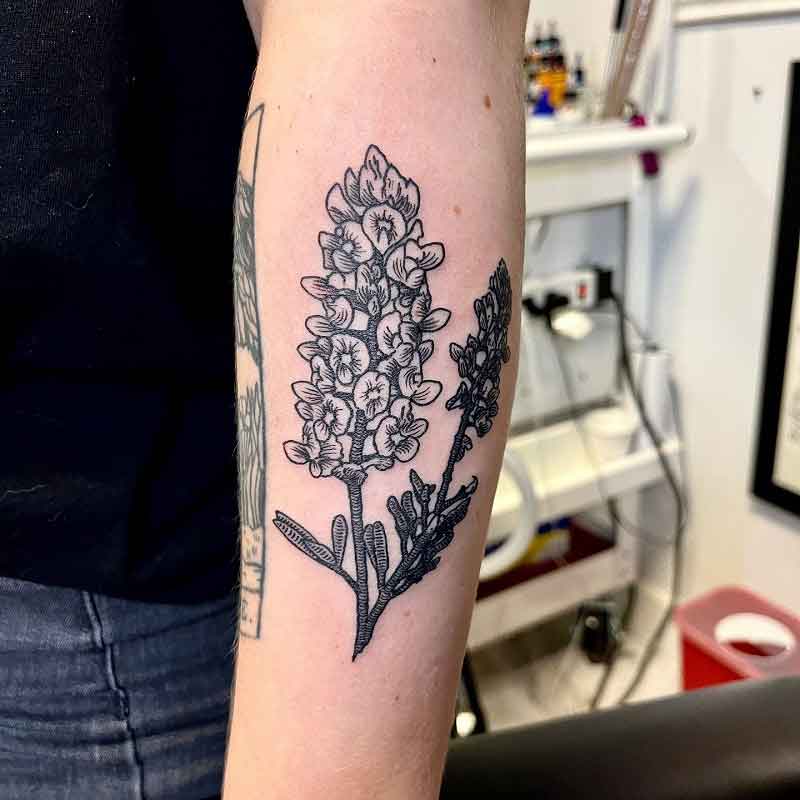 Bluebonnet Tattoo Black And White 4