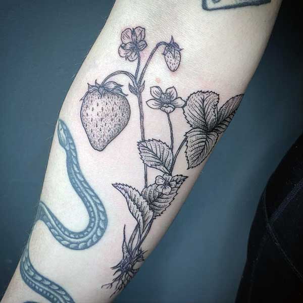 strawberry-plant-tattoo-3