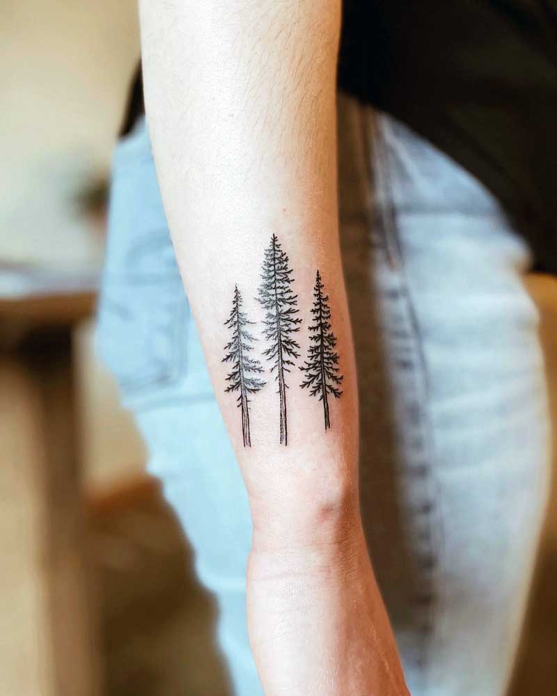 3-pine-tree-tattoo--2