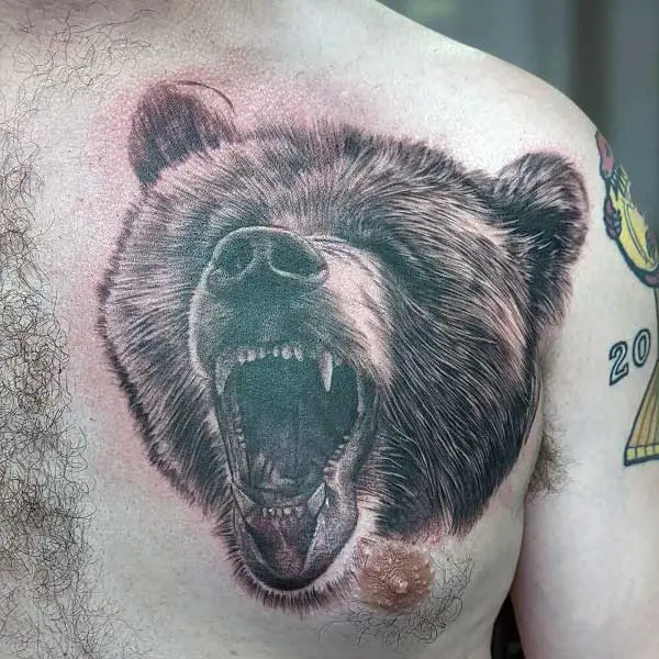 bear-chest-tattoo-3