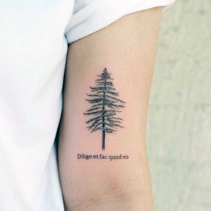 pine-tree-arm-tattoo--2