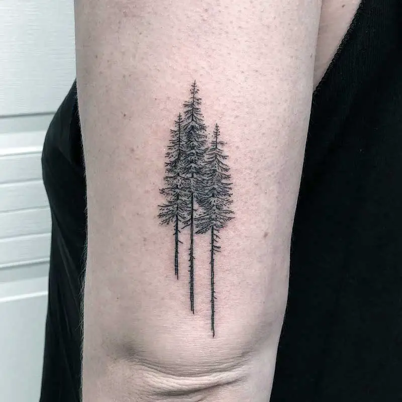 pine-tree-tattoo-sleeve--2