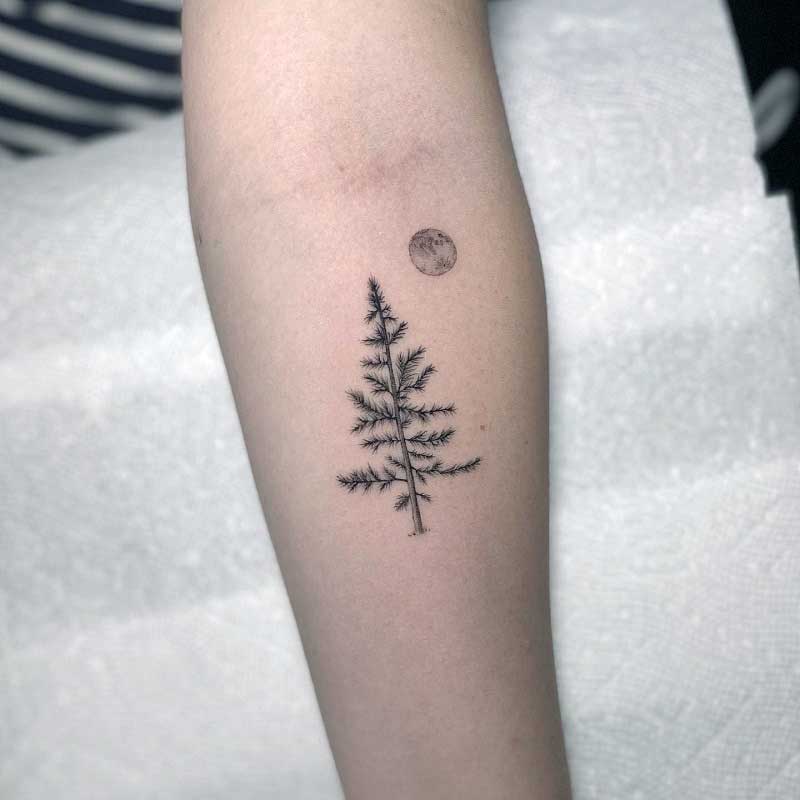 simple-pine-tree-tattoo--2