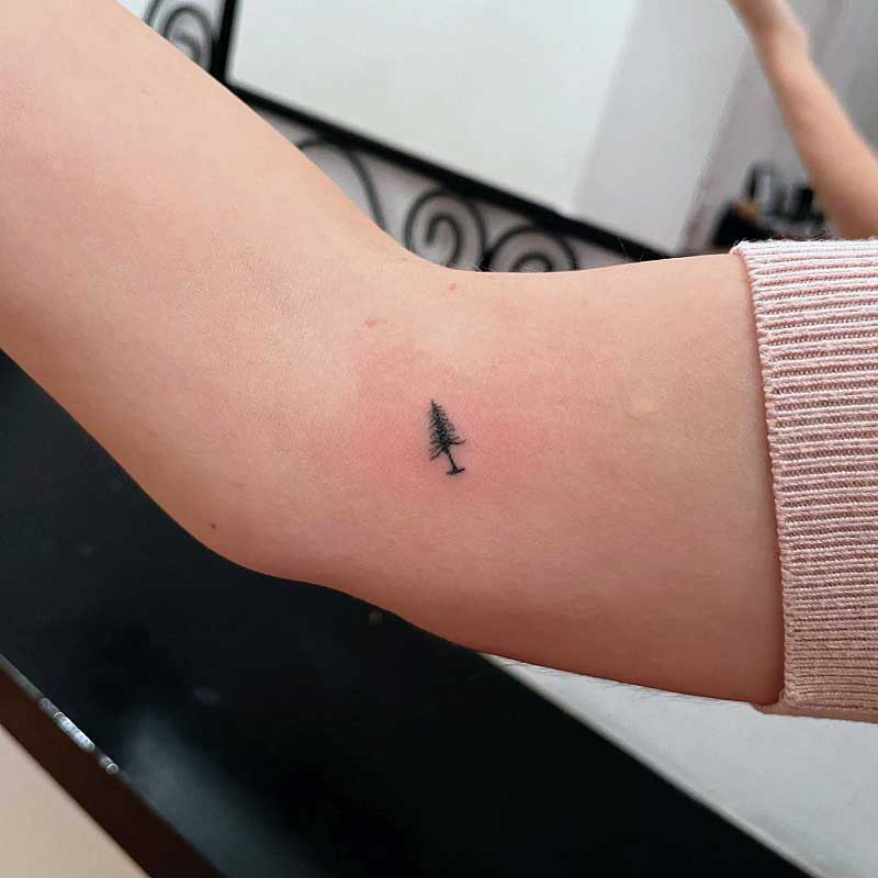 small-pine-tree-tattoo--2